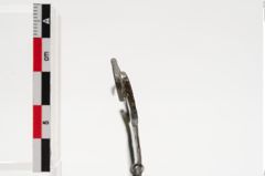 Foto von Bronzehalbmondgehängefibel (NHMW-PRAE-024833)